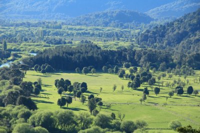 A orillas del Foyel. RÃ­o Negro. Argentina