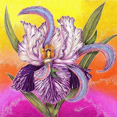 Paisley Iris