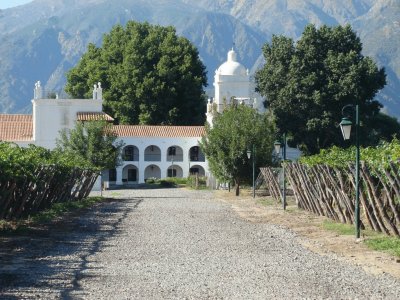 Bodega en Cafayate. Salta. Argentina