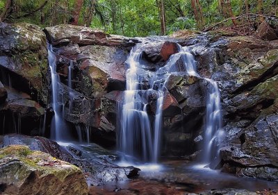 En Carrington. Queensland. Australia