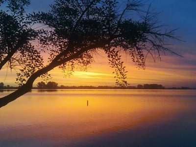 Laguna de Navarro. Buenos Aires. Argentina