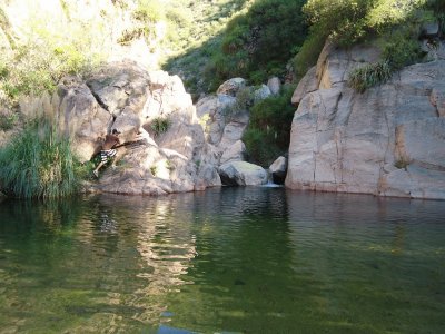 Papagayos. San Luis. Argentina