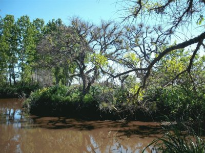 La Balandra. Buenos Aires. Argentina