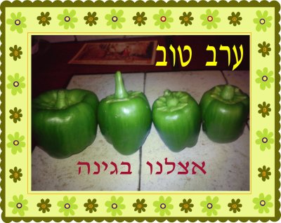 ×¤×œ×¤×œ×™×