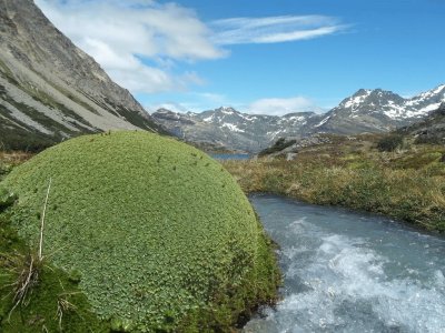 Paso Valdivieso. Tierra del Fuego. Argentina