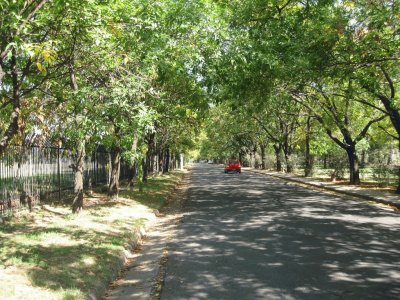 En Campana. Buenos Aires. Argentina