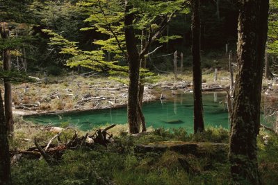 En Tierra del Fuego. Argentina