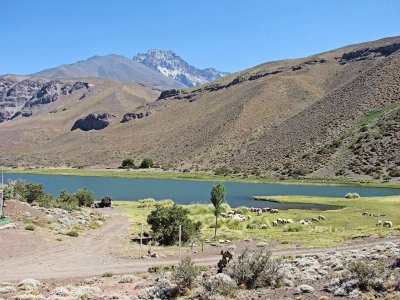 Laguna El Sosneado. Mendoza. Argentina