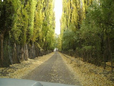 En la Provincia de Mendoza. Argentina