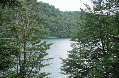 Lago Escondido. NeuquÃ©n. Argentina