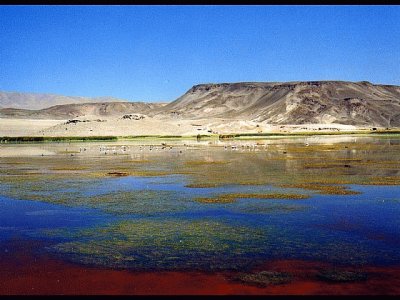 Antofagasta de la Sierra. Catamarca. Argentina