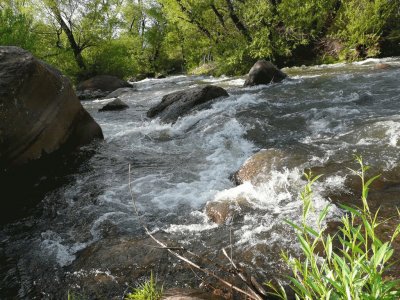 En LoncopuÃ©. NeuquÃ©n. Argentina