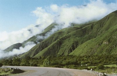 Cuesta de Barcena. Jujuy. Argentina