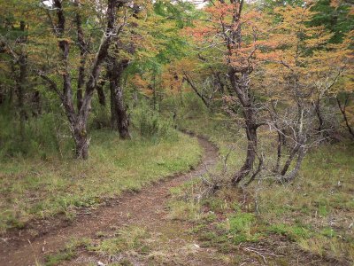 Sendero a Laguna Los CÃ©sares. RÃ­o Negro. Argentina