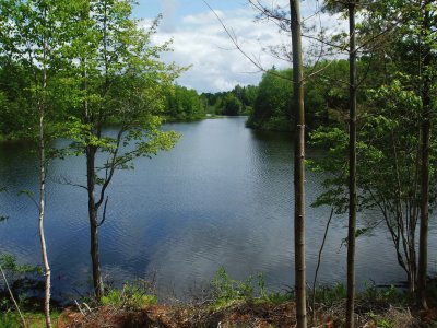 Summer 's day in the woods...got your fishing rod?