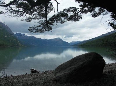 PN Tierra del Fuego. Argentina