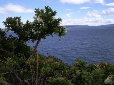 Canal Beagle. Tierra del Fuego. Argentina