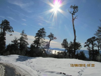 Camino nevado