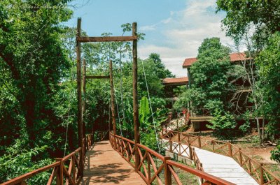 En la Selva de IryapÃº. Misiones. Argentina