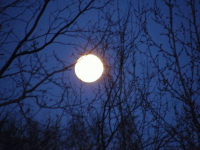 Moon over Palmer Alaska