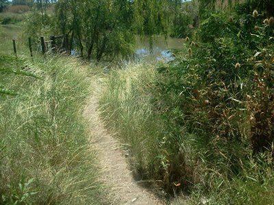 RÃ­o PehuajÃ³. Entre RÃ­os. Argentina