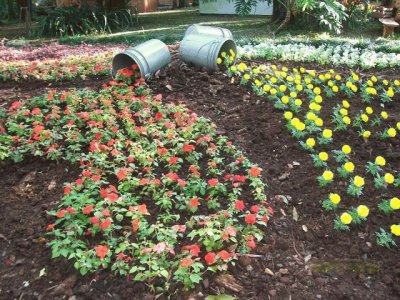 Feliz DÃ­a de la Primavera. (En Montecarlo. Misiones)