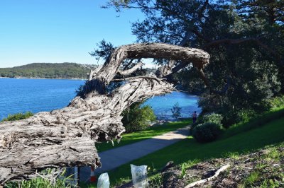 Fairlight. Australia