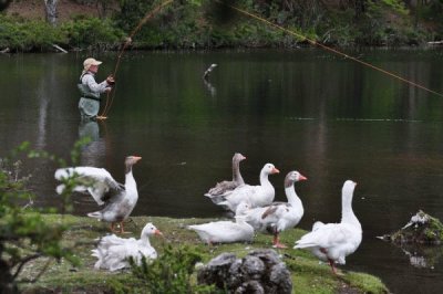 En Villa Pehuenia. NeuquÃ©n. Argentina