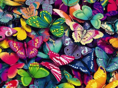 mariposas