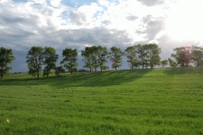 En Agustina. Provincia de Buenos Aires. Argentina