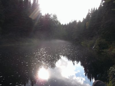 Dawn at the fishing hole