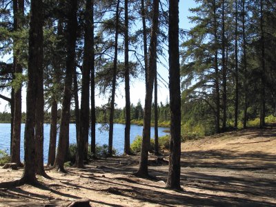 Beautiful little lake near Rogersville NB