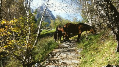 Pyrenees, Spain