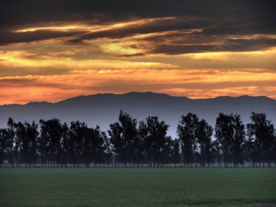 A la vera de la RN 9. Santiago del Estero. Argentina