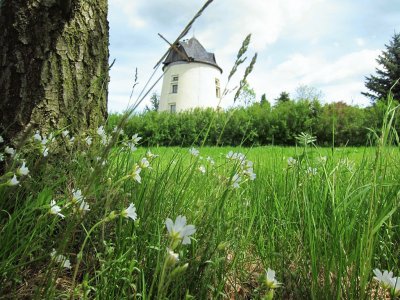 En Reitzendorf. Alemania