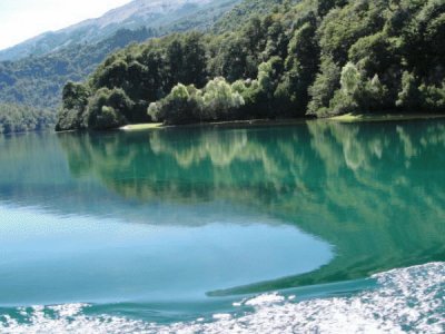 Lago Verde. Chubut. Argentina