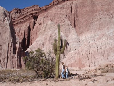 Cerca de Cafayate. Salta. Argentina