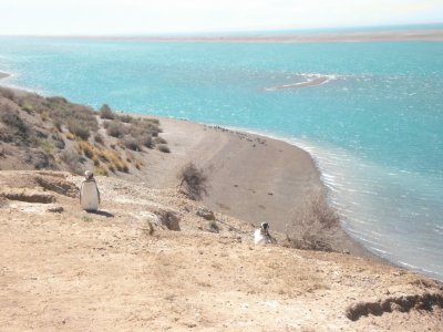 En La PenÃ­nsula de ValdÃ©s. Chubut. Argentina