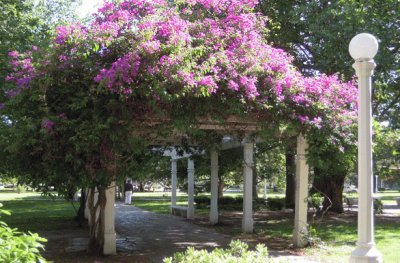 En Balcarce. Buenos Aires. Argentina