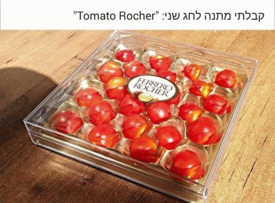 ×¢×’×‘× ×™×•×ª