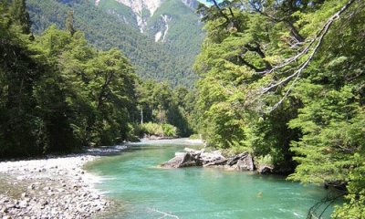 PN Los Alerces. Chubut. Argentina