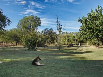 En Santa Rosa. La Pampa. Argentina