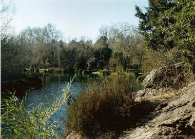 Thea. CÃ³rdoba. Argentina