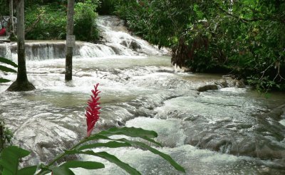 En Ocho RÃ­os. Jamaica