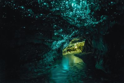 Cuevas Waitomo. Waikato. Nueva Zelanda