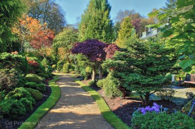 Colzium Gardens - Scotland