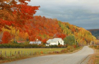 campagne quebec