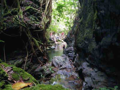 PN Topes Collantes. Cuba