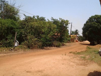 Rua de terra vermelha - Irenópolis - MT