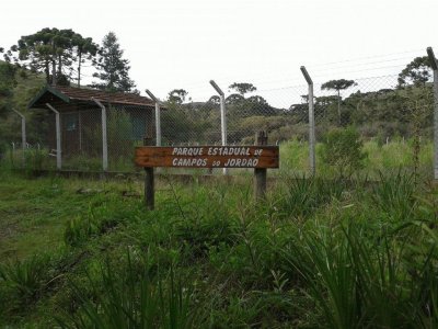 Parque Estadual - Campos do JordÃ£o - SP